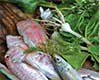 Specialità di pesce e frutti di mare - Korčula