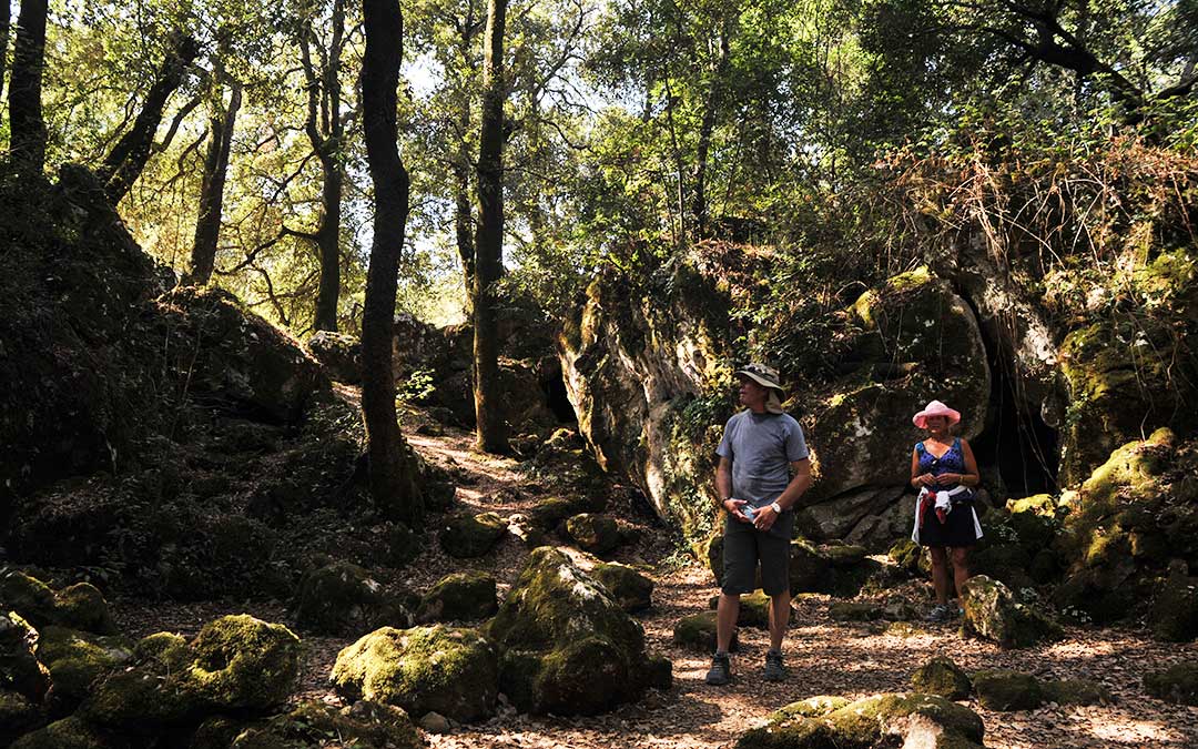 Entdecken Sie das Korčula-Naturerbe-Brdo Kočje Žrnovo